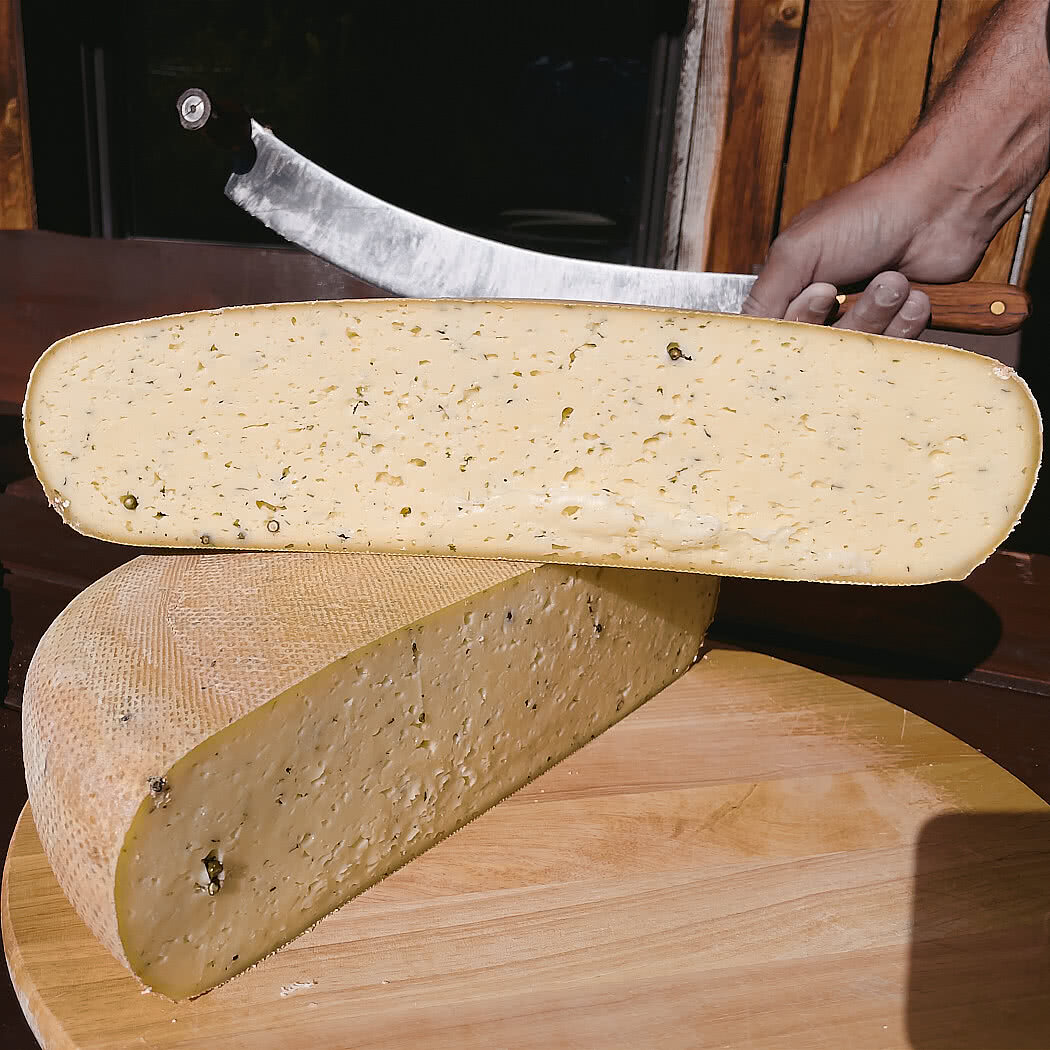 Großer Laib halbfester Käse mit Kräutereinsprengseln, frisch aufgeschnitten mit einem langen Käsemesser, auf einem runden Holzbrett im Freien.