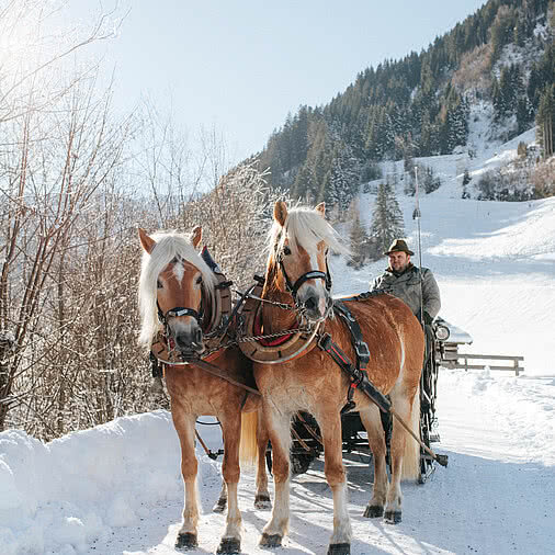 Pferdeschlittenfahrt in Großarl im Winter - Hotel Tauernhof