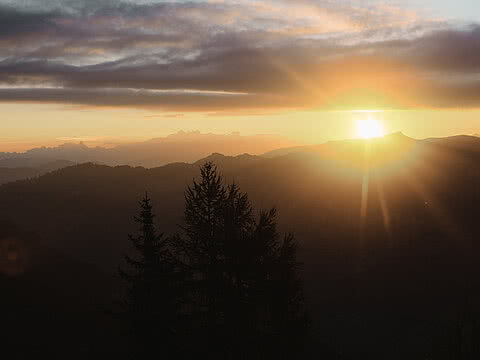 Ein malerischer Sonnenaufgang über den Bergen, mit Silhouetten von Bäumen im Vordergrund. Das Hotel Tauernhof in Großarl ist der ideale Ort, um solche Naturschauspiele zu genießen.