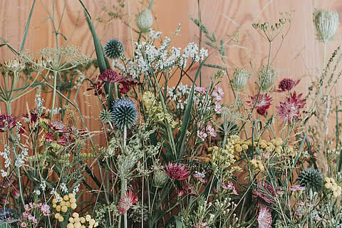 Alpenblumen-Arrangement im Blumenkasten