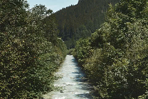 Gebirgsbach umgeben von dichter Vegetation nahe dem Hotel Tauernhof Großarl, eingebettet in eine ruhige Alpenlandschaft.