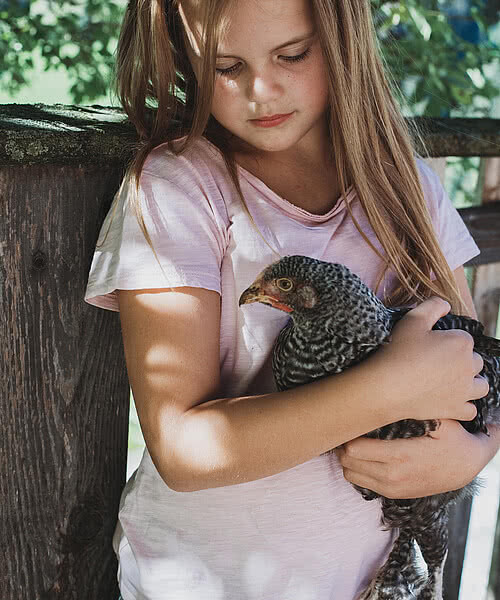 Girl with a hen on an Alpine pasture in Großarl in the summer