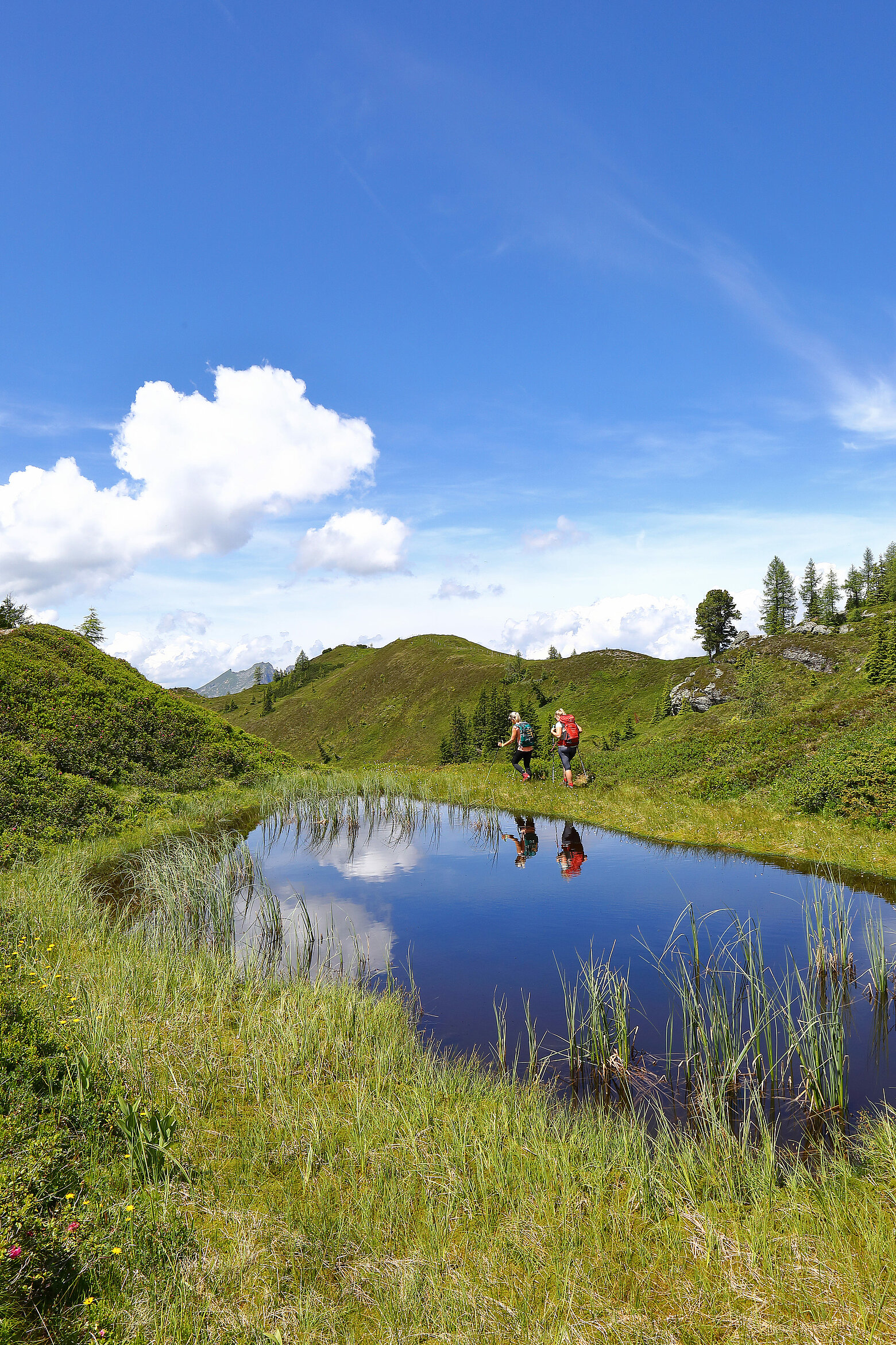 In einer malerischen Berglandschaft wandern zwei Personen entlang eines ruhigen Teichs, umgeben von üppigem Gras und Bäumen in Großarl