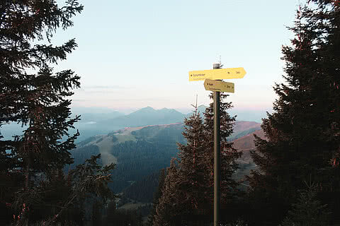 Gelber Wegweiser in den Alpen nahe Hotel Tauernhof Großarl, umgeben von Tannen und mit Blick auf eine malerische Berglandschaft.