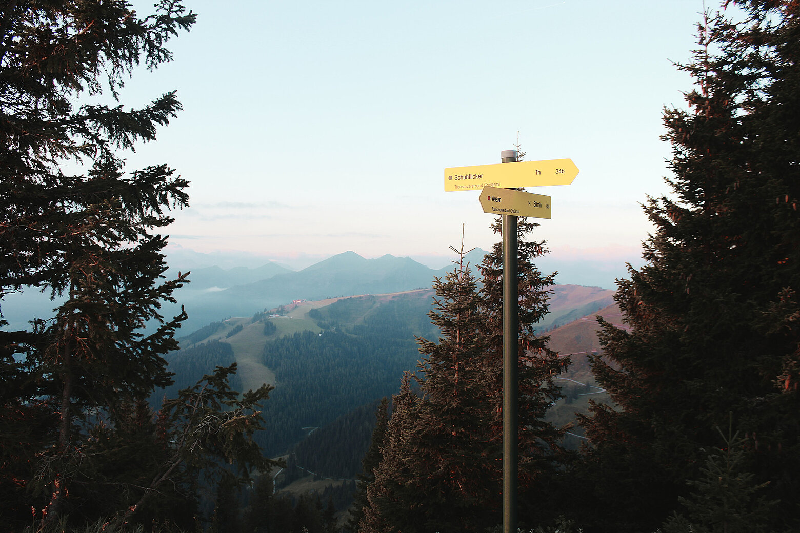 Gelber Wegweiser in den Alpen nahe Hotel Tauernhof Großarl, umgeben von Tannen und mit Blick auf eine malerische Berglandschaft.
