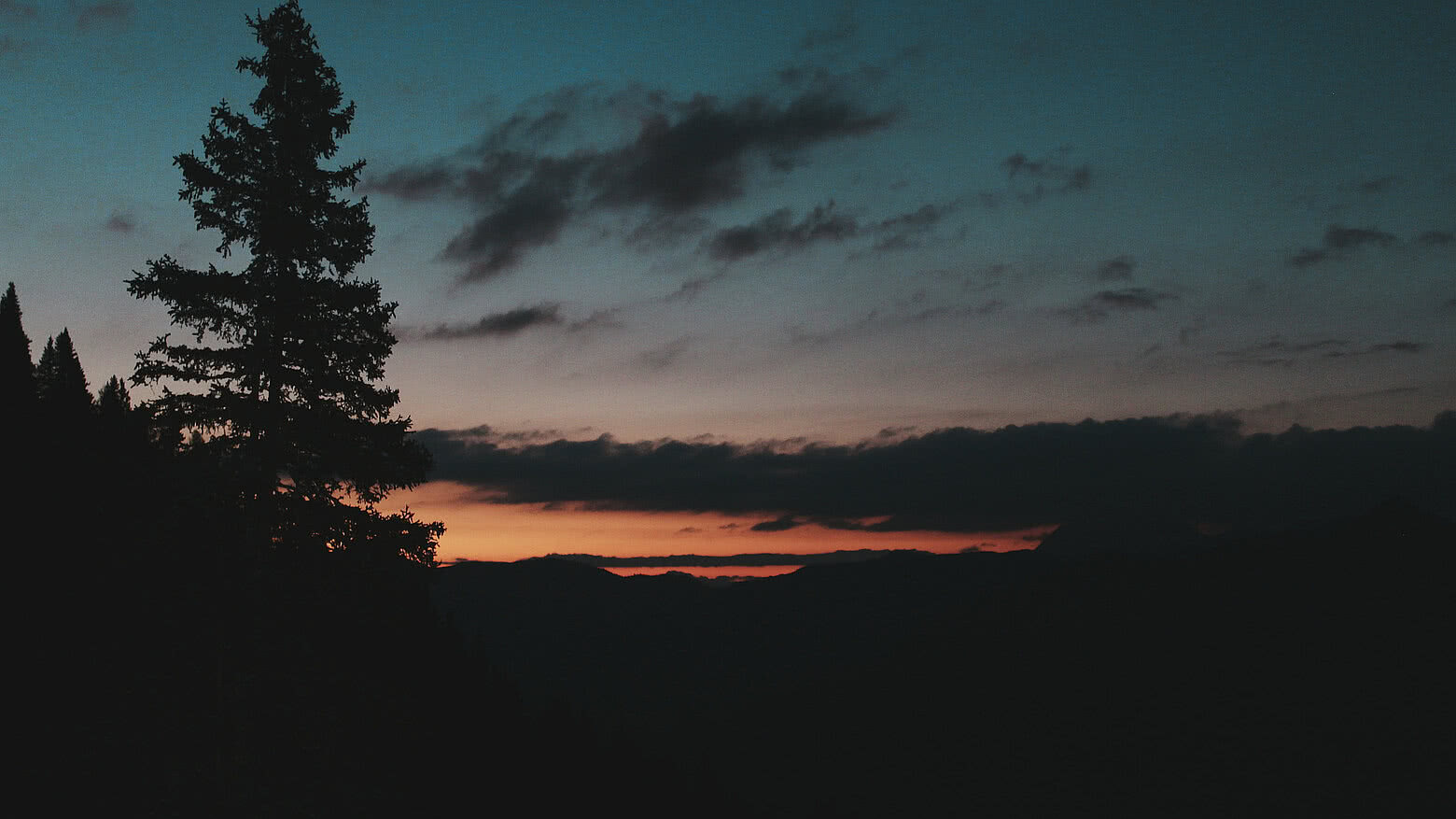 Silhouette eines Baumes vor einem farbenfrohen Sonnenuntergang in den Alpen nahe dem Hotel Tauernhof Großarl.