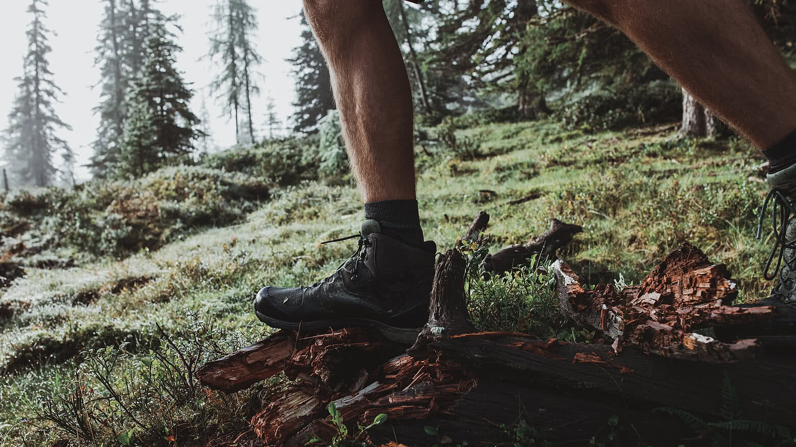 Ein Wanderer mit robusten Wanderschuhen bewegt sich durch einen moosigen Waldpfad in der Nähe des Hotel Tauernhof in Großarl.