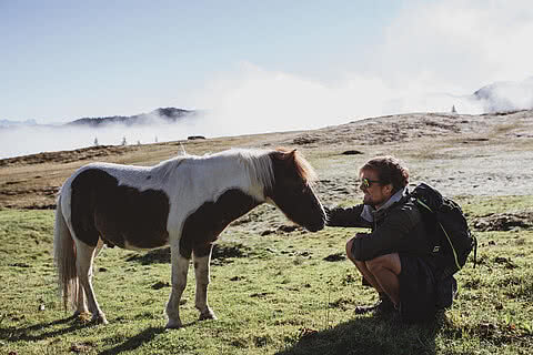 Wanderer in den Bergen nahe dem Hotel Tauernhof Großarl streichelt ein schwarz-weißes Pony auf einer grünen Wiese.