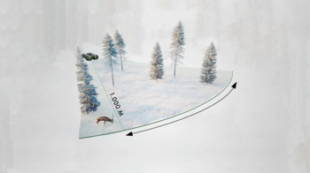 Illustration des Sehfelds in der Optik, zeigt einen schneebedeckten Wald mit einem 1.000-Meter-Maßstab, einem Wildtier und den Blickwinkel, der durch ein Fernglas erfasst wird.