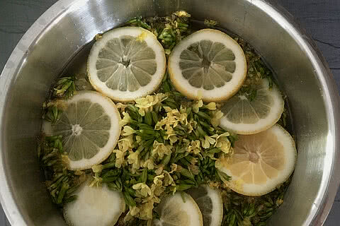 Rezept Schlüsselblumensirup Tauernhof Großarl