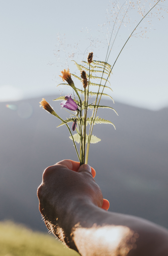 Eine Hand hält verschiedene Wildblumen, im Hintergrund sind Berge zu sehen. 