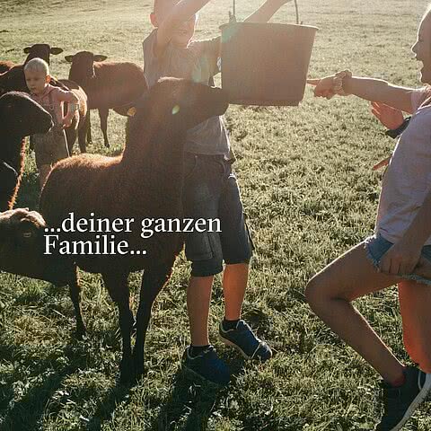 Wir suchen Dich! Du bist aus der Region und hast Lust für unseren Tauernhof auf einer Alm zu shooten? Alle Altersgruppen sind erwünscht!